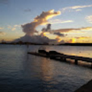 Meet your Posher, Ray